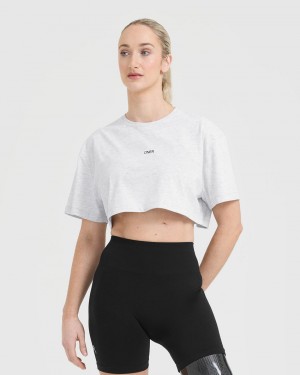 Oner Active Klassiska Oner Tryck Crop Lätta T-shirt Ljusgrå | SOPH-63094