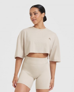 Oner Active Klassiska Relaxed Crop Lätta T-shirt Bruna | YGZS-15648