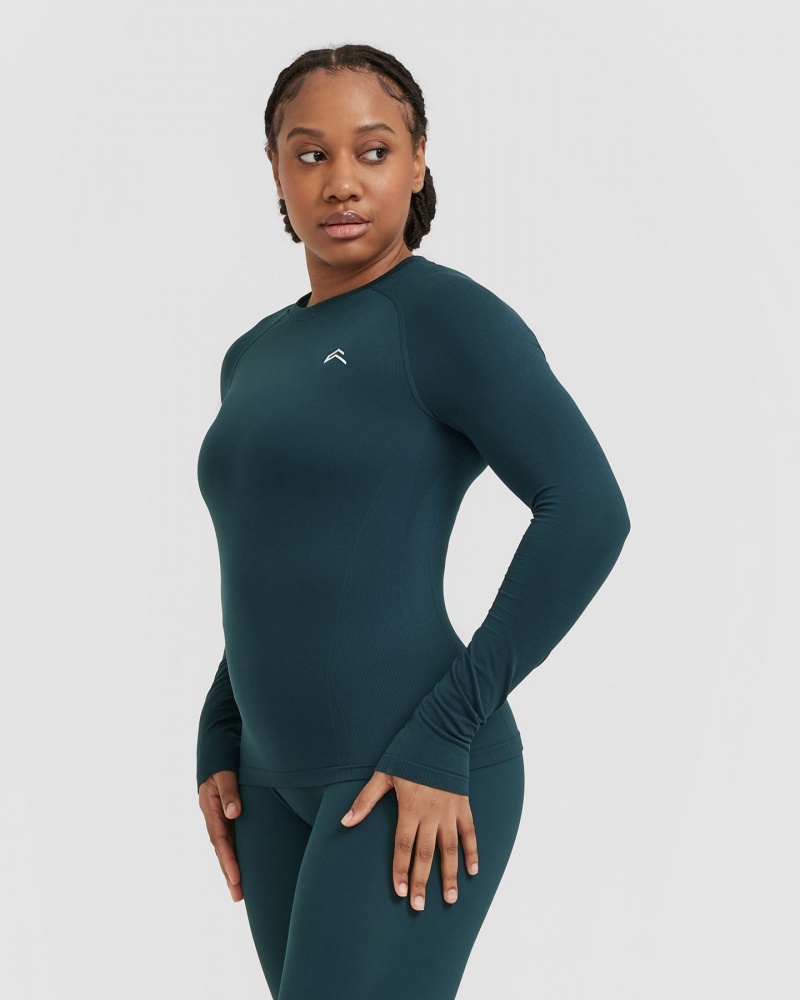 Oner Active Go To Seamless Fitted Long Sleeve T-shirt Blå | MAJD-46013