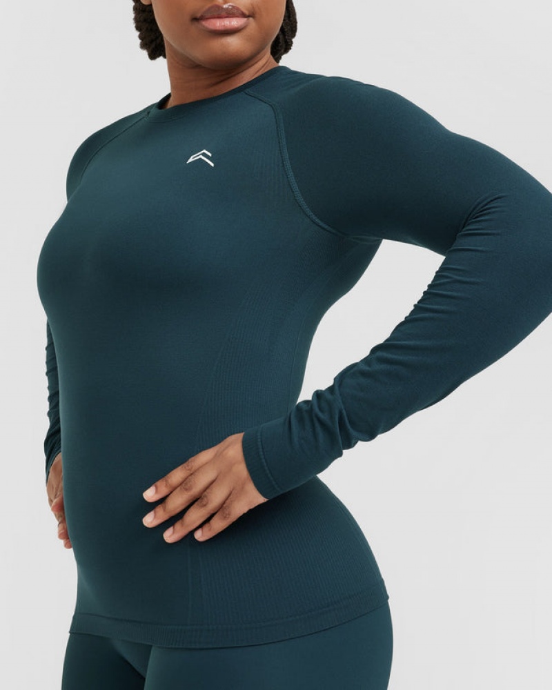 Oner Active Go To Seamless Fitted Long Sleeve T-shirt Blå | MAJD-46013