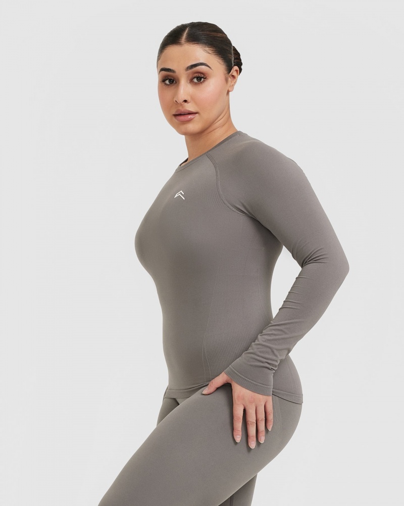 Oner Active Go To Seamless Fitted Long Sleeve T-shirt Grå | PSZK-20348