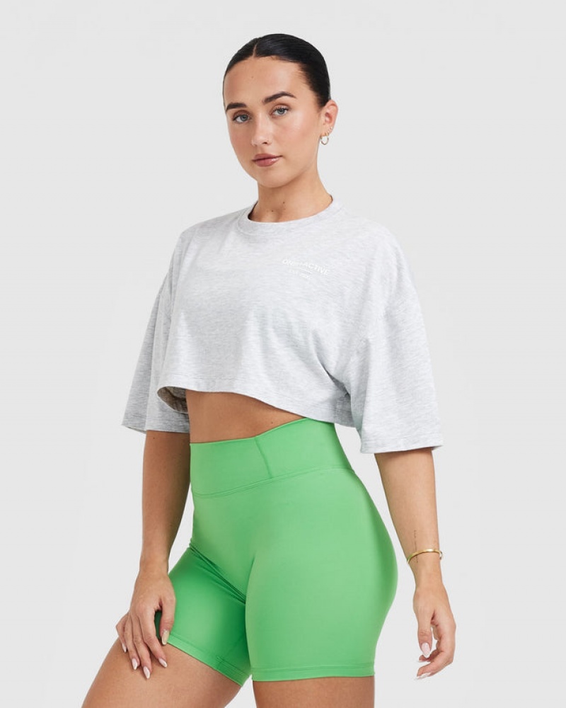 Oner Active Klassiska Lifters Tryck Relaxed Crop Lätta T-shirt Ljusgrå | UTZM-02964