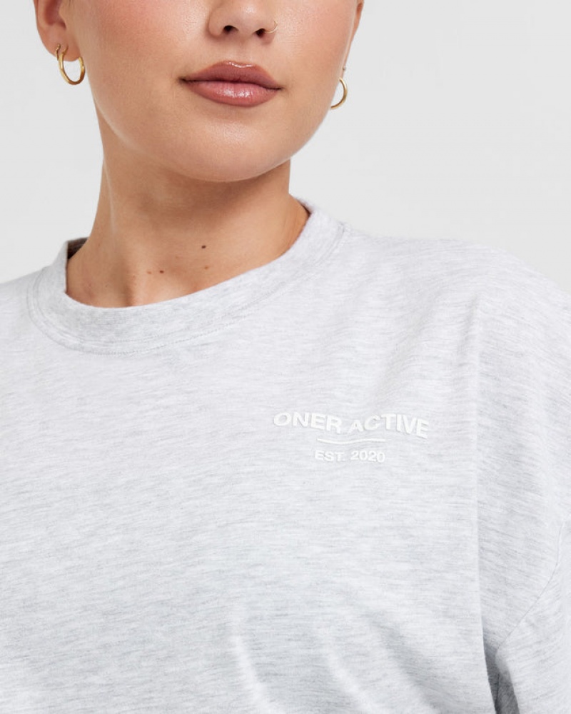 Oner Active Klassiska Lifters Tryck Relaxed Crop Lätta T-shirt Ljusgrå | UTZM-02964