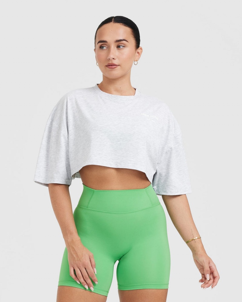 Oner Active Klassiska Lifters Tryck Relaxed Crop Lätta T-shirt Ljusgrå | UTZM-02964