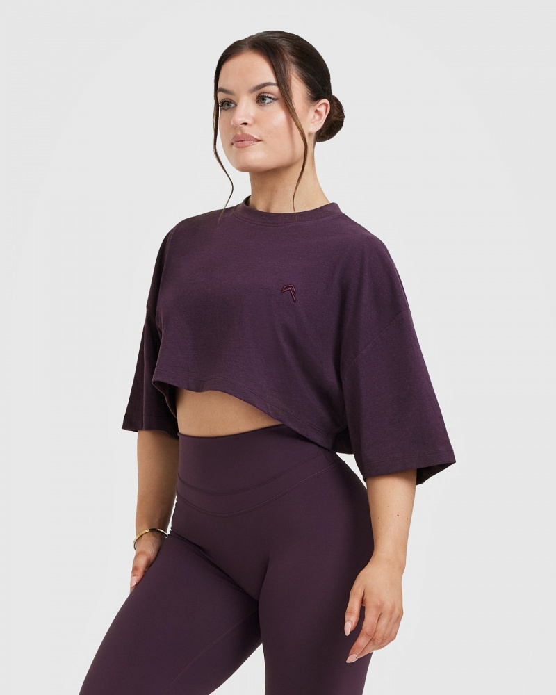 Oner Active Klassiska Relaxed Crop Lätta T-shirt Lila | CFPV-02846