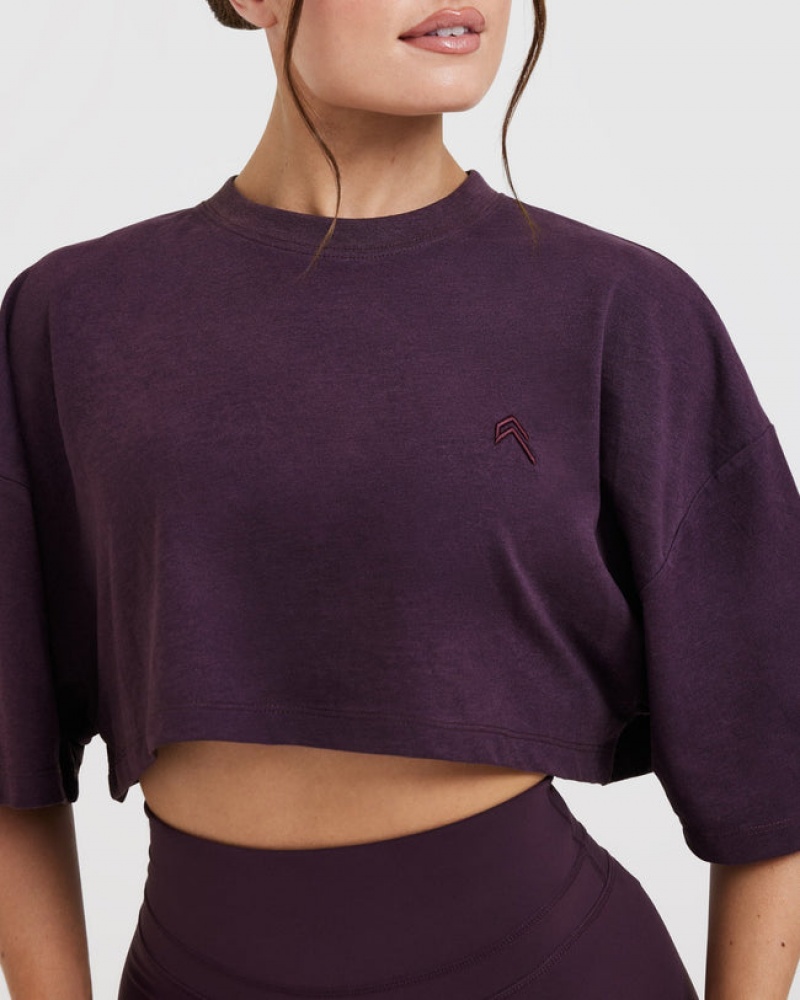 Oner Active Klassiska Relaxed Crop Lätta T-shirt Lila | CFPV-02846