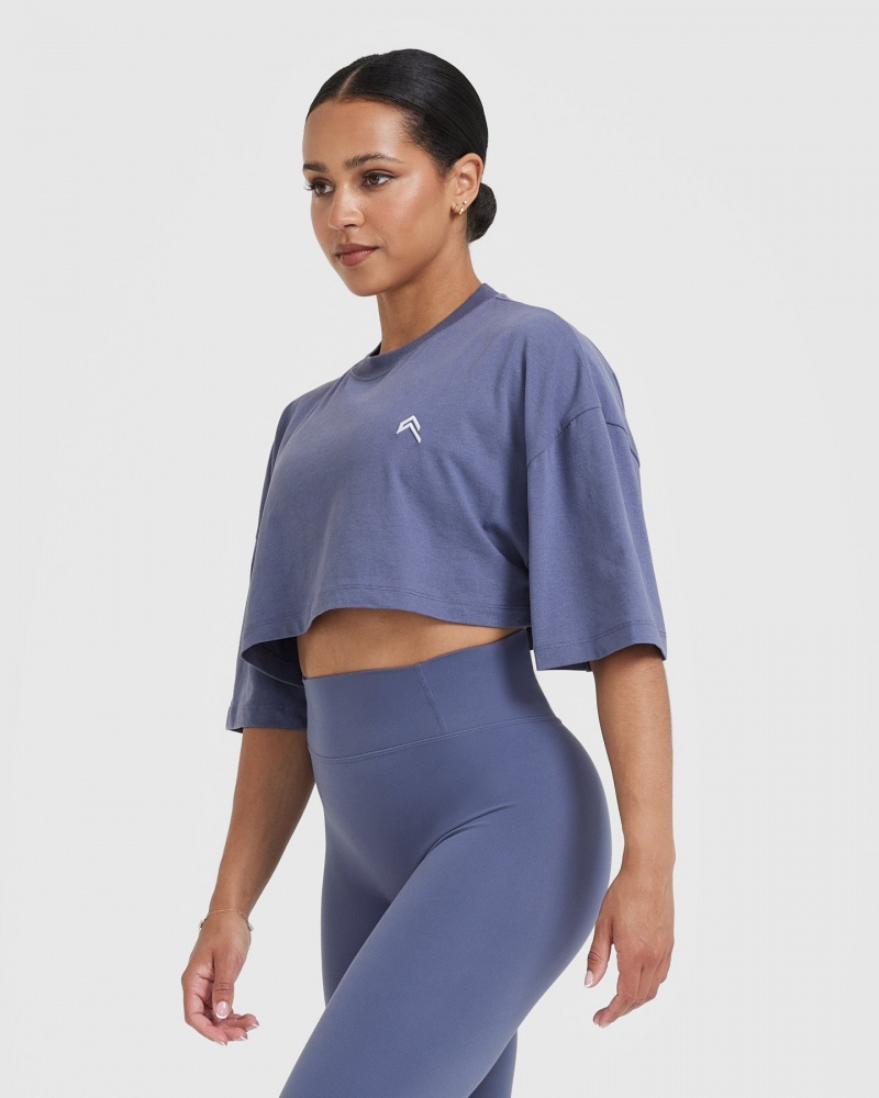 Oner Active Klassiska Relaxed Crop Lätta T-shirt Blå | HYAK-23147