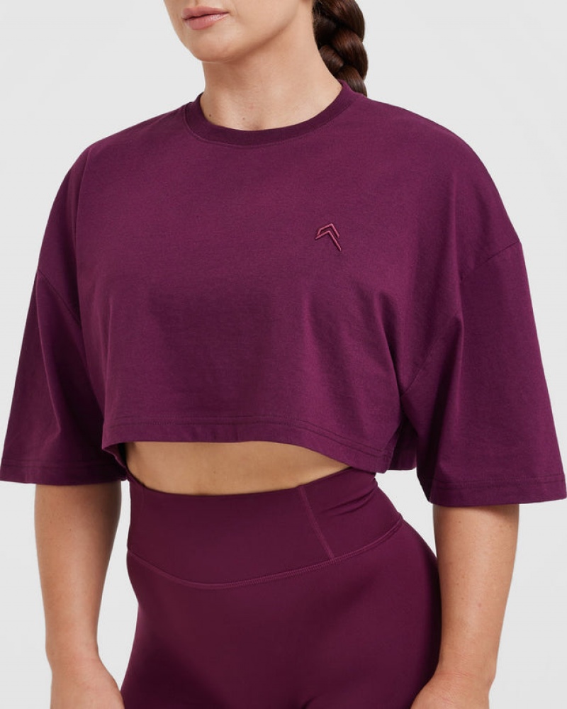 Oner Active Klassiska Relaxed Crop Lätta T-shirt Lila | QOYT-04631