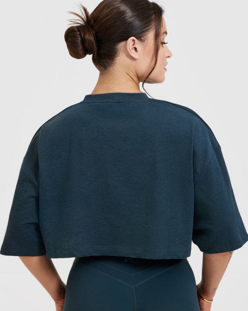 Oner Active Klassiska Relaxed Crop Lätta T-shirt Blå | TFQL-78619