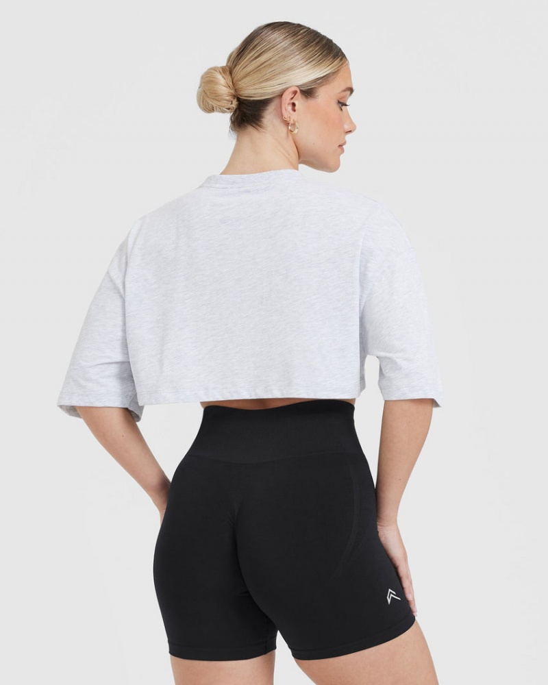 Oner Active Klassiska Relaxed Crop Lätta T-shirt Ljusgrå | NYGS-57286