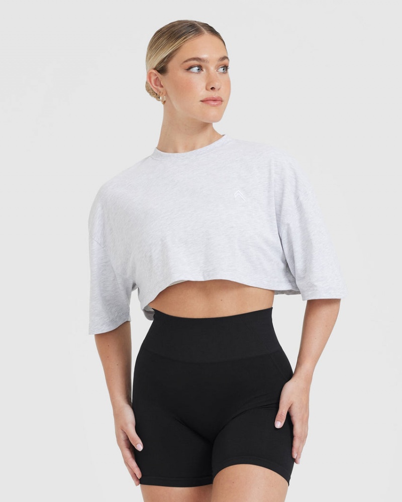 Oner Active Klassiska Relaxed Crop Lätta T-shirt Ljusgrå | NYGS-57286